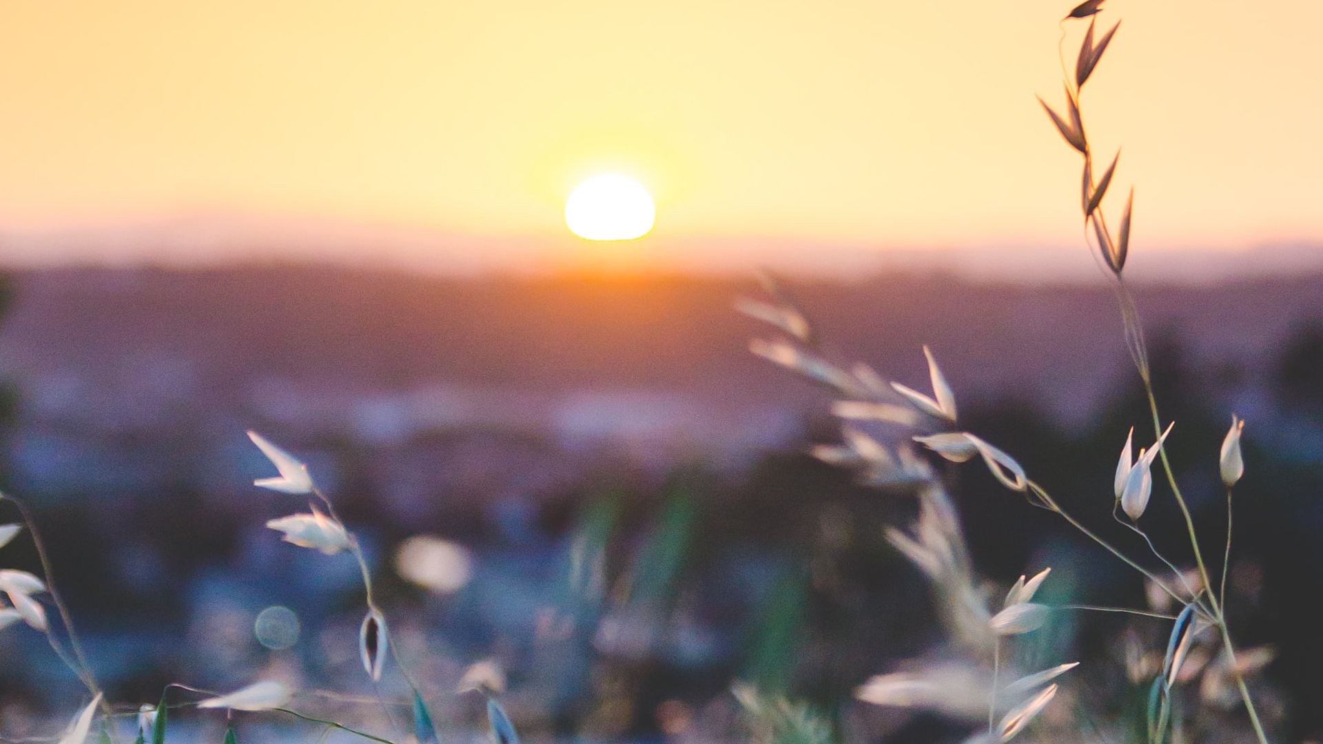Song of Songs 8